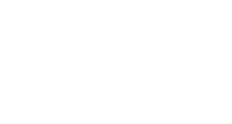 turtle riders